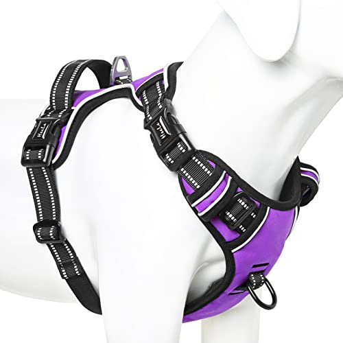 HEELE Harnais Chien, Harnais Anti Traction Réfléchissant Harnais pour Moyen Grand Chien avec Poignée Rembourrée, 1 Boucle sur la Sangle Droite de Cou Rendent Facile à Mettre et à Enlever, Pourpre, L