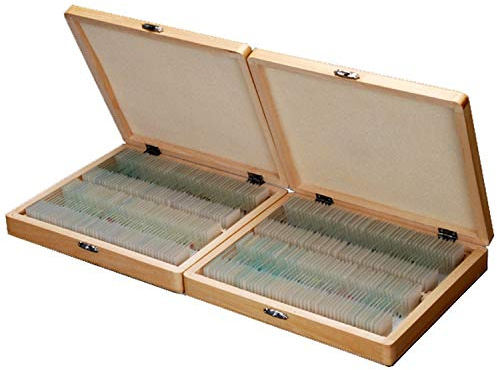 AmScope - Portaobjetos para microscopio (200 unidades, 25 x 75 mm, incluye 2 maletines organizadores de madera)