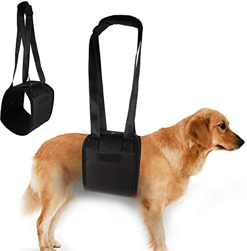 Hundbärhjälp Gåhjälp Hund för rehabilitering av rygg höft och knäleder (L) - Hundsele Hjälpmedel för hundar som behöver stöd och mobiliseringshjälp vi