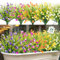 HOHOTIME Künstliche Blumen für den Außenbereich, UV-beständige künstliche Pflanzen und Blumen, künstliche Calla-Lilien für Heimdekoration, Innenvase, Töpfe, hängende Pflanzgefäße, Dekoration (weiß,