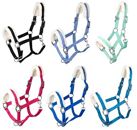 RL24 - Halfter mit Plüschpolsterung Basicline | Halfter für Pferde & Ponys | Pferdehalfter mit nietenverstärkten Verschlüssen & Karabinerhaken zum Öffnen | Pferde Zubehör in Hellgrün | Pony