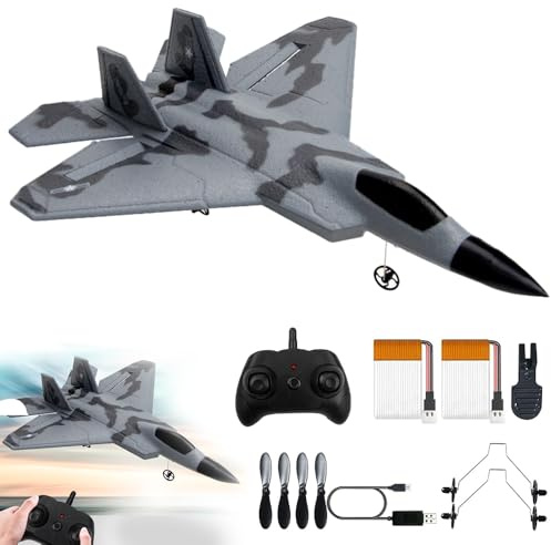 RC Flugzeug,2.4Ghz 2 Kanal Ferngesteuertes Flugzeug mit LED-Licht Kämpfer Flugzeuge Spielzeug Modell mit 3 Axis Gyro System Schaumstoff Flugzeu-g Ferngesteuert mit USB-Aufladung für Kinder (Grau)