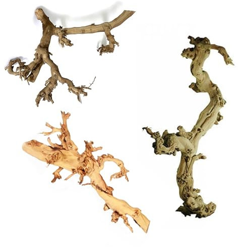 Bois de vigne clair - Environ 50 cm - Bois décoratif - Racine en bois véritable - Racine de vin, vigne - Décoration, bricolage - Bois de bricolage - Tête de vigne terrarium