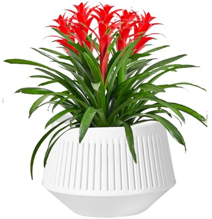 Macetas para Orquídeas con Drenaje, Macetas con Agujeros - Doble Capa Violeta African Pots | Plantador Transpirable para El Control De La Raíz De La Hidroponía De Flores Florecientes