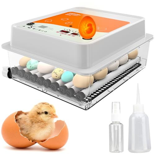 Incubadora OBI-36 para Huevos de Gallina, Volteo Automático y Ovoscopio | Admite Huevos de Pato, Paloma, Otras Aves, Pantalla Digital con Temperatura y Humedad, Naranja