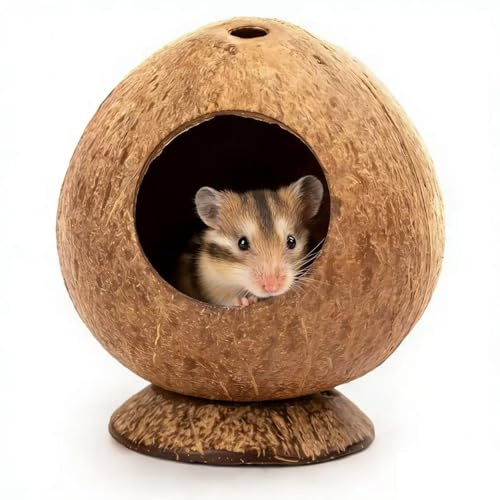 Hamstergömställe, trähus, kokoshytta, hamsterhus, säng för gerbiler, jordekorre, reptiler, smådjur, bur, habitatdekor