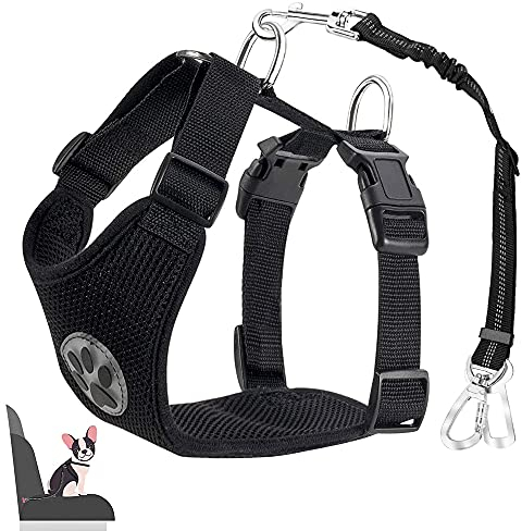 Eyein Hundegeschirr mit Sicherheitsgurt für Auto, 2 Karabinerhaken - verbunden mit Sicherheitsgurt-Schnalle, Kinder-Sicherheitssitz oder Trunk, verstellbare atmungsaktiv Geschirr (Schwarz, S)