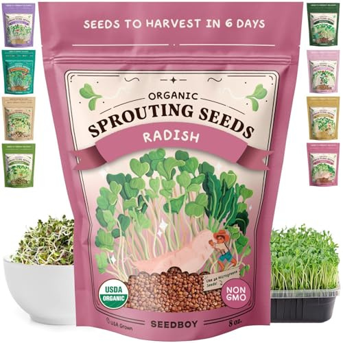Seedboy Semillas de rábano orgánicas sin OMG para germinar, semillas de germinación de microverdes cultivadas en Estados Unidos, bolsa de 8 onzas, hace 8 cuartos de galón/24 porciones (rábano Daikon)