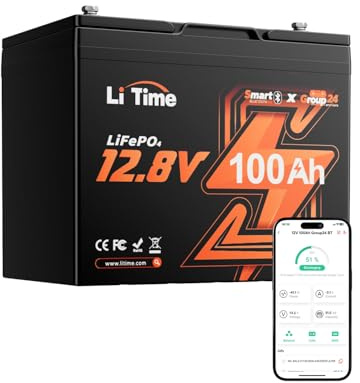 LiTime Batería Litio 12V 100Ah Grupo 24 con Bluetooth, Inteligente BMS 100A y Protección de Baja Temperatura, 4000-15000 Ciclos, Bateria LiFePO4 12V 100Ah para Caravana, Barco, Sistemas Solares
