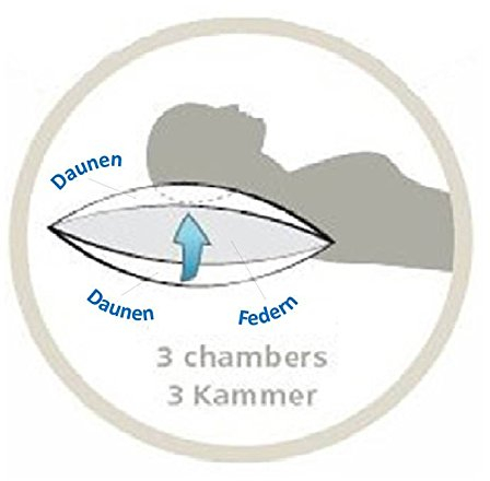 TM Maxx 3 Kammer Kissen 40x80 cm Kopfkissen 1 Stückpreis 100% Natur Füllung Daunen und Federn Farbe Weiß Kissen mit Bisse sehr Stabiles Kissen(40x80cm, 750g)