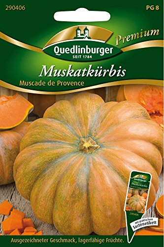 Muskatkürbis Muscade de Provence von Quedlinburger Saatgut