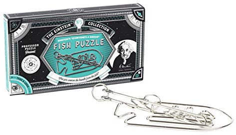 Professor PUZZLE EIN2321