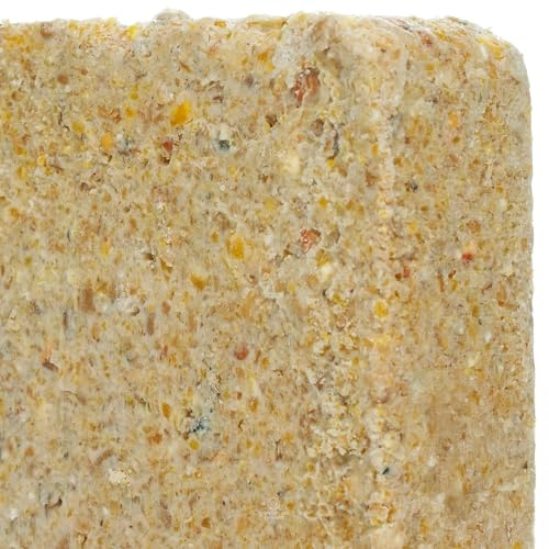 BusyBeaks Suet Fat Blocks | Premium Garden Wild Bird Food | Enhanced Formula | Naturally Blended, High in Energy & Protein-Rich Feed | Full of Nutritious Fat Fibre & Moisture (Peanut, 5)