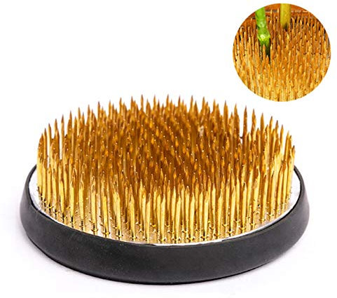 Blumen-Frosch, rund, 8,4 cm