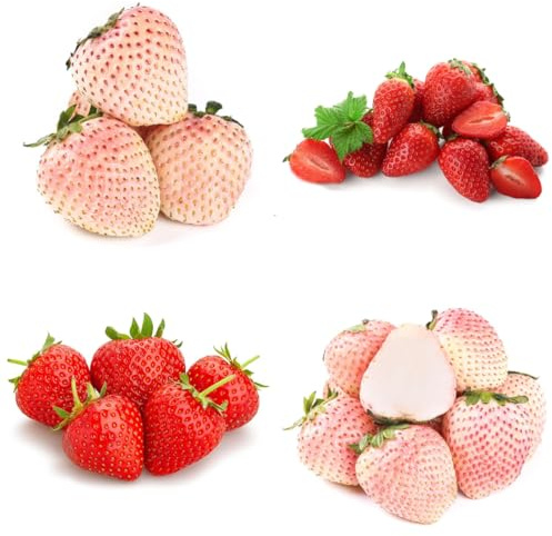 fragole semi di fragola da appartamento, fragola biologici fresca, decorazione soggiorno, resistenti all'inverno 200pcs
