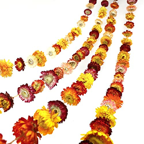 Christmas Decorations - 6.6ft Dried Flowers Garland Real Daisy Sunflower Garlands Dry Flower Chain with 42 Colorful Flower Heads for Boho Home Wedding Party Wall Hanging Bridal Window Indoor Decor