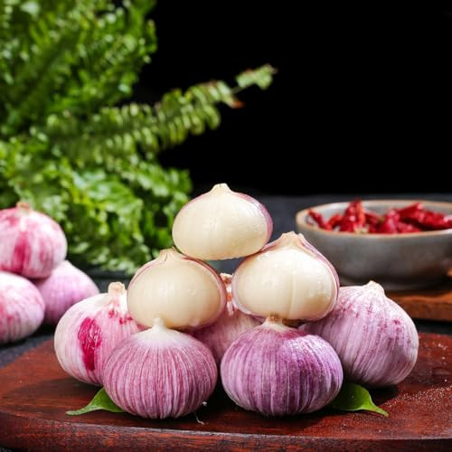 6 pcs Pflanzknoblauch Winterhart Blumenzwiebeln Frühblüher Steckknoblauch Frühjahr Kräuter Pflanzen Topfpflanzen Draußen Winterhart Balkonpflanzen Winterhart Garten Geschenk Gartenkräuter,