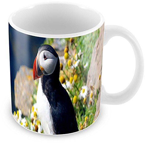 Fabulous Mug macareux fraterculini oiseaux marins