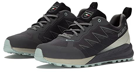 Dolomite W's Croda Nera Tech GTX, Scarpa da Escursionismo Donna (Anthracite Grey/Beige, Numeric_38)