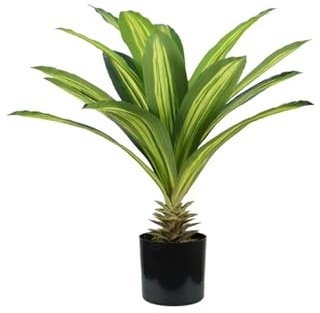 Avilia Pianta di Dracaena Finta in Polietilene 60 cm con 19 Foglie- Decorazione per Interni Realistiche con Design Moderno, Ideale per Arredo Interno e Decorazioni