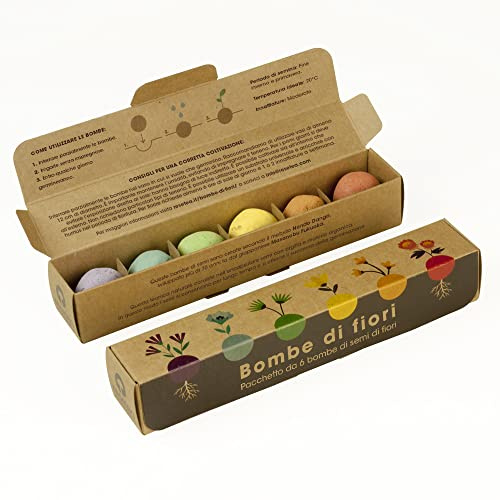 Set di 6 bombe di Fiori Resetea | Porta Colore e Vita in Casa o in Giardino | Regalo Originale e Naturale | Resetea