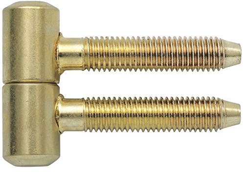 Gedotec Charniere Porte en Laiton - 1.1100 -Pour Porte en Bois et Métal de Meuble, Portail, Volet, Fenêtre - Type Anuba/SFS avec Tige à Visser de 29 mm - 6 Pièces
