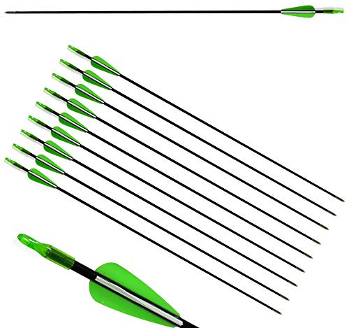 ZSHJG 12pcs Flèches en Fibre de Verre 31 Pouces Flèches d'entraînement de Cible Spine 900 Flèches de Chasse avec Flèche Carquois pour 35 Lbs Arc Recourbé Arc Long (Vert)