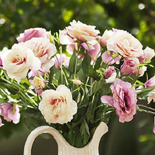 50 Pièces Graines d'Eustoma, Graines Fleurs à Semer, Graine de Fleurs d'Eustoma, Facile à Planter, Graine de Lisianthus pour Jardin et Balcon, Semences de Lisianthus, Belles Fleurs (Style E)