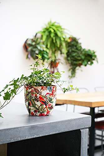 Ivyline Indoor Plant Pot Monza Tropical Parrot H15.5Cm D15.5Cm Red/Cream, One Size