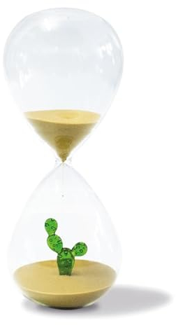 WD Lifestyle - Caraffa in Vetro Borosilicato 30 Minuti con Decorazione Cactus