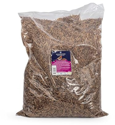 CJ Wildlife Dried Mealworms for Wild Birds – Meal Worms for Garden Birds – Protein Rich Snack for Garden Birds – All Natural Bird Food