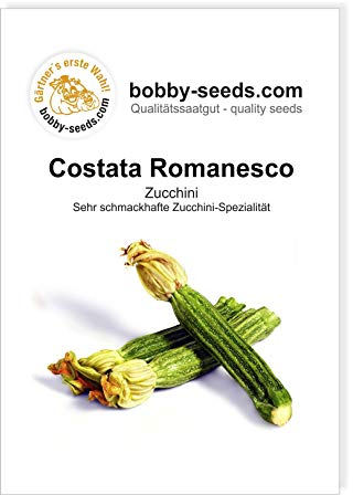 Costata Romanesco Zucchinisamen von Bobby-Seeds, Portion