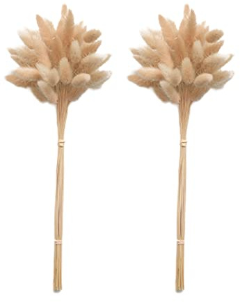 50 pz Bunny Tails Bouquet di fiori secchi naturali Pianta di pampa per la decorazione del vaso