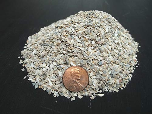 Byndgardenstore Crushed Oyster Shell Organic Fertilizer Soil Mineral Compost Nutrient 5 LB FINE