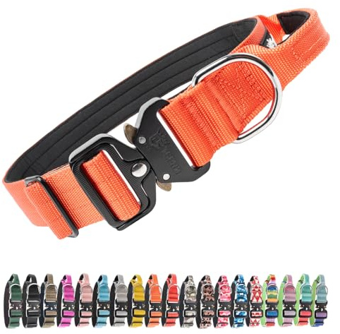 TSPRO Premium Collier pour Chien, Réglable Collier Tactique Chien avec Poignée et Une Solide Boucle Métallique à Libération Rapide, pour Chiens de Taille Moyenne à Grande (Orange L)