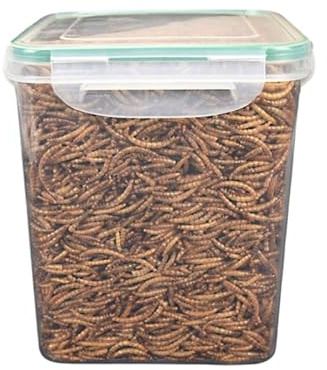 Vermi della farina essiccati, riccio/uccello/criceto snack