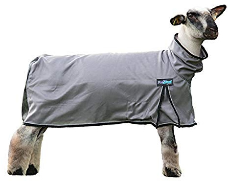 ProCool™ Sheep Blanket with Reflective Piping, Extra Large, Gray