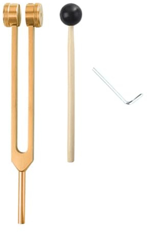 Mskidand L69A 256 Hz Stimmgabel Medizinisches Heilinstrument mit Hammer ein Reparaturwerkzeug Menschliches Biofeld Diapa Son (Gold) Langlebig Einfache Installation Einfach zu Verwenden