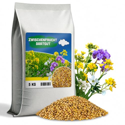 ARPON Zwischenfruchtmischung| Samen Mischung: weißer Senf, Ölrettich, Phaceliablau| Gründüngung mischung 5kg für 2000m²| Gründüngungsmischung