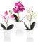 RANJIMA 3er Set Orchidee Kunstblume, Künstliche Orchideen im Topf Kunstblumen Blumendeko für Home Deko kunstblumen wie echt für Tischdekoration zu Hause Hochzeit Dekoration Wohnung Modern Osterdeko