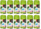Fresh & More Lufterfrischer Nachfüller 12er Pack Apfel & Wasserlilie 250ml - Duft Nachfüller kompatibel mit Air Wick Freshmatic, Glade Brise - Duftspray für Geruchsneutralisierung & Frische