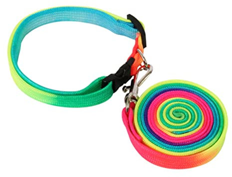 FRCOLOR 2 Stücke Hund Ketten Für Außerhalb Nylon Zugseil Mini Dackel Leine Hund Wandern Zubehör