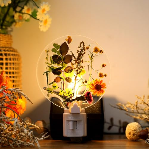 Kittmip Flower Night Light Plug into Wall Vintage Dry Flower Night Lamps Plug into Wall for Girls Women Bathroom Bedroom Living Room Birthday Gift