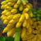 75 semillas de plátano amarillo