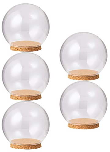 Lot de 5 cloches en verre transparent avec base en bois pour objets de collection, roses enchantées, petits spécimens de bière, boules à neige artisanales, 10 cm