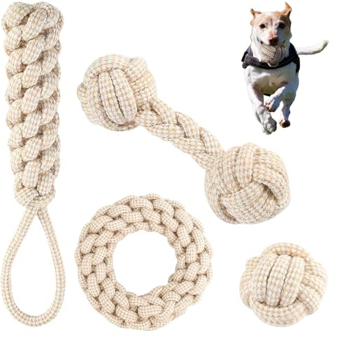 Ginddy Giocattolo in corda per cani, 4 pezzi, giocattoli da masticare per cani, Hundespielzeug Welpen in corda di cotone, giocattolo per dentizione, giocattoli per cani per dentizione, giocattoli per