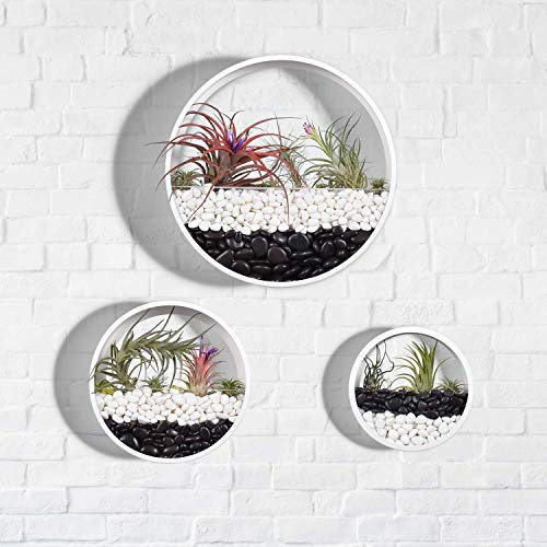 Juego de 3 jarrones de pared modernos de metal blanco para suculentas, cactus, plantas arañas, plantas de aire, macetas colgantes para decoración del hogar