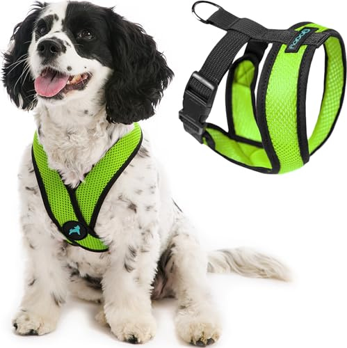 Gooby Comfort X Head-In - Arnés para Perro con Marco en X Patentado Anti ahogo y sin tirones para Perros pequeños o medianos, para Uso en Interiores y Exteriores, Color Verde, Talla M