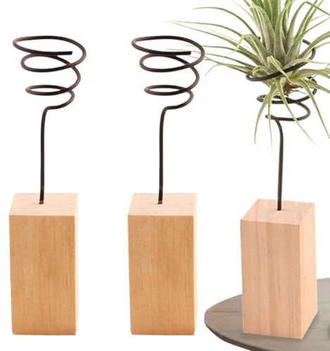 Soporte Para Plantas De Aire - Maceta En Contenedor, Maceta Con Soporte Para Plantas | Florero Organizador De Plantas, Juego De 3 Soportes Decorativos Para Plantas De Aire, Estante De Exhibición Para