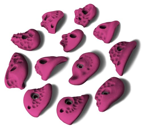 ALPIDEX 12 Presas De Escalada L | Presas con Asas | Superficies Texturadas | Tamaño L | Socavones Profundidad Media | Piedras Escalada | Formas Variadas Colores - Color:Violeta Viva